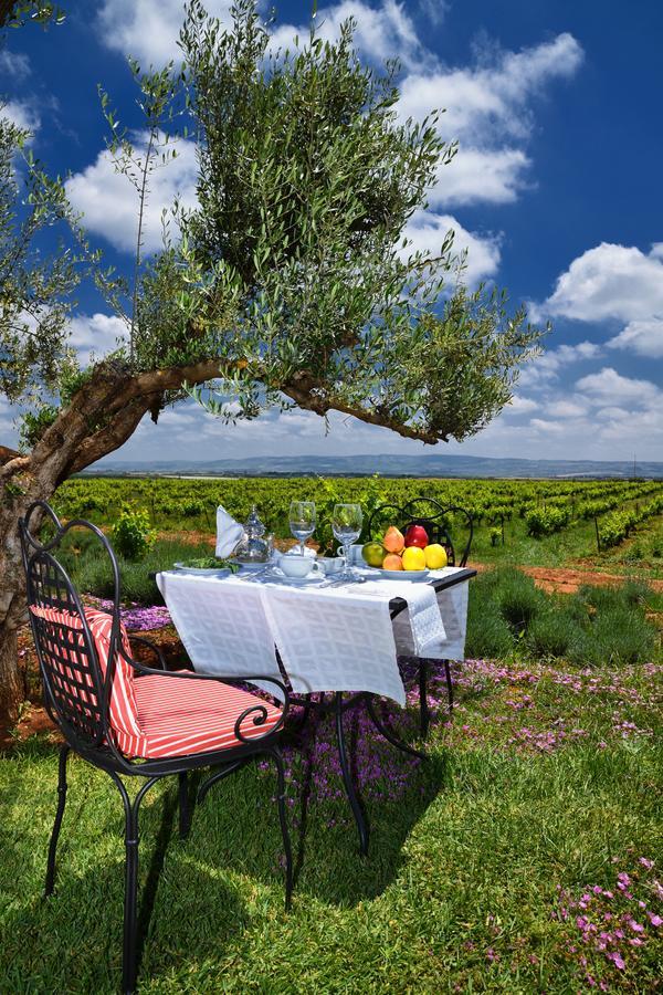 מקנס Chateau Roslane Boutique Hotel & Spa מראה חיצוני תמונה
